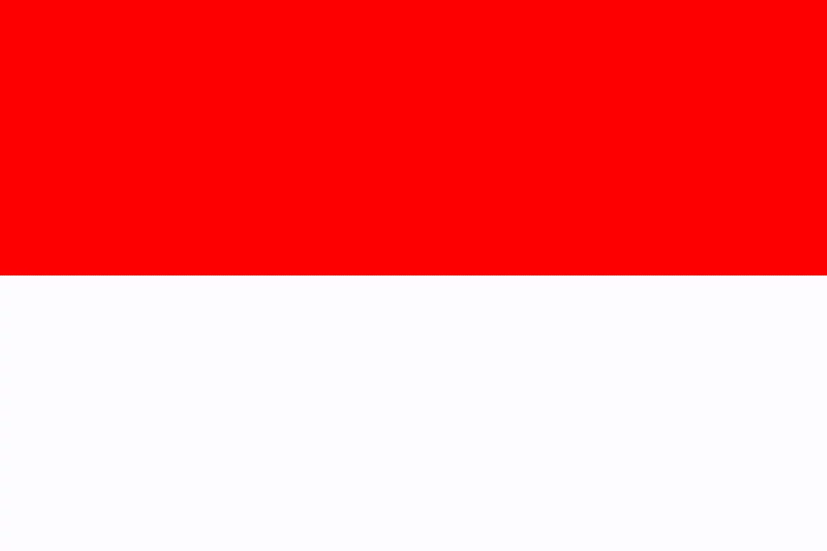 Timnas Indonesia